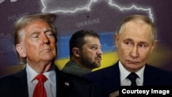 Дональд Трамп, Владимир Зеленский, Владимир Путин (коллаж)