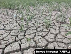 Пересохле Каховське водосховище, серпень 2023 року