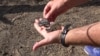 Earlier in September, Romania reported two occasions when fragments of a drone similar to those used by the Russian military were found on Romanian soil.