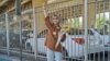 Journalist Nazila Maroufian was released on bail from prison.