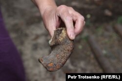 То самое «мутировавшее» копыто. Село Хан Ордасы, Западно-Казахстанская область. 28 июня 2023 года