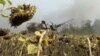 Ukraine grab
