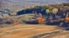 Impozitul unic în agricultură - argumente pro și contra