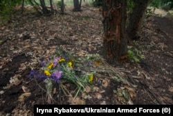 Freshly picked wildflowers lie next to a tree torn up by shrapnel.