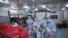 Китай отказался проверять теорию об утечке коронавируса COVID-19 из лаборатории