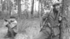 Радянські партизани в Білорусі, 1943 рік