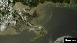 Нафтова пляма біля узбережжя Луїзіани, 29 травня 2010 року