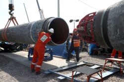 Строительство "Северного потока - 2" в Ленинградской области