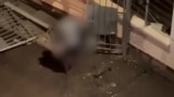 Kazakhstan - death of a security guard - cover