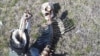 Ўзбекистоннинг Қозондаги консулхонаси Оренбургда топилган скелет юзасидан суриштирув олиб бормоқда 