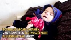 Egymillió afgán gyermek van közvetlen életveszélyben alultápláltság miatt