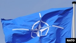 Теперь Тбилиси на регулярной основе будет знакомить НАТО с собственным взглядом на ситуацию в странах Южного Кавказа и в мире в целом