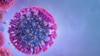"COVID-19"-dan azat Türkmenistan epidemiýalara taýýarlyk derejesi boýunça Merkezi Aziýada dördünji boldy