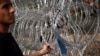 A migrant inspects a razor-wire fence at Serbia's border with Hungary in September 2015. 