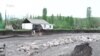 Лейлектеги селдин кесепети