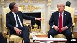 Встреча Дональда Трампа и генсека НАТО Марка Рютте в Белом доме, 14 июля 2025 года