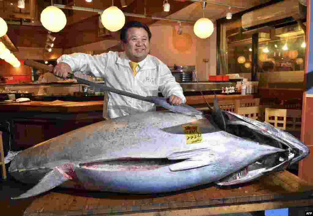 Японія – Президент мережі суші-ресторанів Sushi-Zanmai Кійосі Кімура розрізає 222-кілограмового блакитного тунця на рибному ринку Цукідзі в Токіо. Тунець був проданий за 155 400 000 ієн (1,77 мільйона доларів), це новий світовий рекорд ціни за цю рибу.