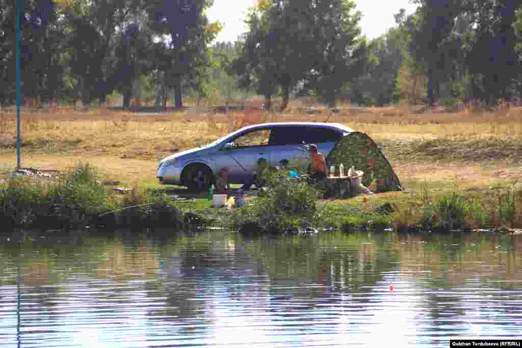 В пруду не только форель резвится, но водится и дикая рыба. За ней и приехали эти рыбаки. 