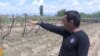 Armenia - A farmer in Mrgashat village points to his vineyard destroyed by a powerful hailstorm, 13May2013.