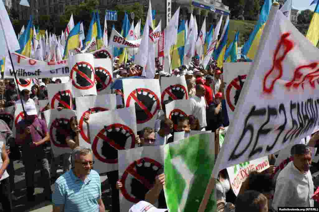 Акція «Вставай, Україно!» у Києві, 18 травня 2013 року