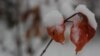 16x9 Image