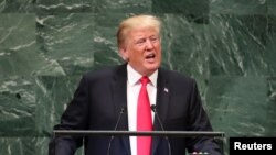 Дональд Трамп