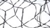 Another Political Prisoner Dies Suspiciously