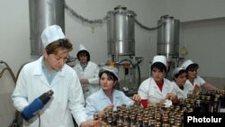 Հայաստան -- Կոնյակի արտադրամաս Արմավիրի մարզում