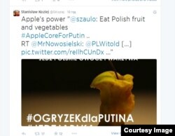 «Огризок для Путіна»