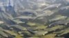 Russia -- Trout farming tank on a fish farm in Maina Hydroelectric Power Station Reservoir, Khakassia region, 14Jun2007