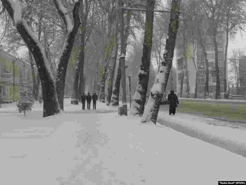 Snow coats the sidewalks, roads, and trees in Tajikistan's capital.