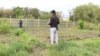 Питомник Аграрного университета, который огорожен забором предпринимателем Урматом Салыкбаевым. Бишкек, Кыргызстан.