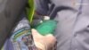 В Чернігові затримали мікроавтобус з фальшивими печатками ДВК та ОВК