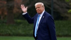 Цитаты Свободы. На трамповских качелях