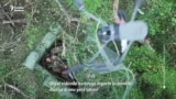 Ukrayna Rusiya dronlarını torla tutur