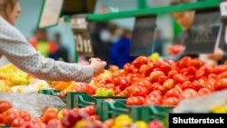 Иллюстративное фото 