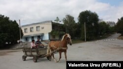 La Ungheni
