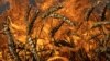 UKRAINE – A wheat field burns after Russian shelling a few kilometers from the Ukrainian-Russian border in the Kharkiv region, Ukraine, July 29, 2022
