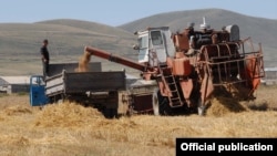 Ցորենի բերքահավաք, արխիվային լուսանկար