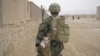 Tackling Afghan Animal Welfare One Dog At A Time