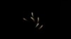16x9 Image