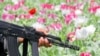 Ооганстанда өндүрүлгөн маңзаттын 20 тоннасы Кыргызстан аркылуу ташылат. 