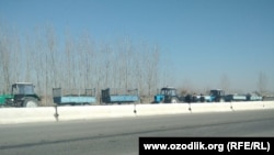Samarqand viloyatida yo‘l chetidagi go‘ng ortilgan traktorlar kimni kutmoqda?