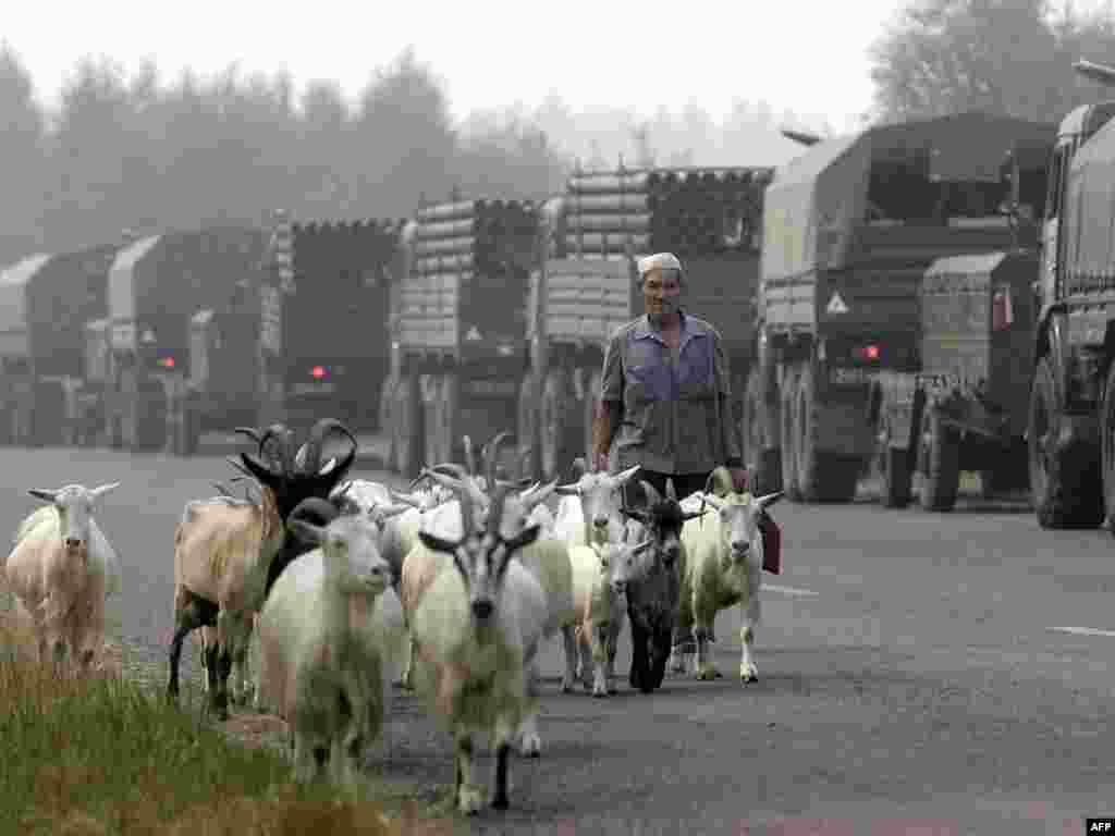 Šumska oblast Ryazanovka, 01.08.2010. - Foto: AFP / Artyom Korotayev