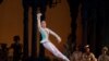 American ballet dancer David Hallberg performing in "The Sleeping Beauty" in New York (Photo: Rosalie O'Connor)